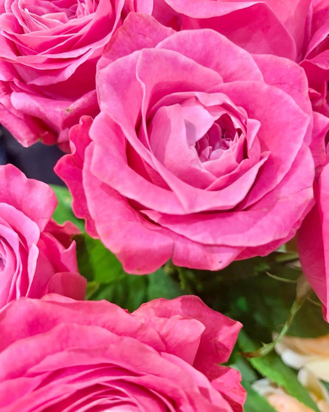 金子実加さんのインスタグラム写真 - (金子実加Instagram)「愛ある日々を😘❤️ 今週も頑張れるね😍 . . . . . . . . #rose #love #薔薇　#お花のある暮らし #お花　#花束　#ブーケ　#愛」10月5日 8時28分 - kanekomika0127