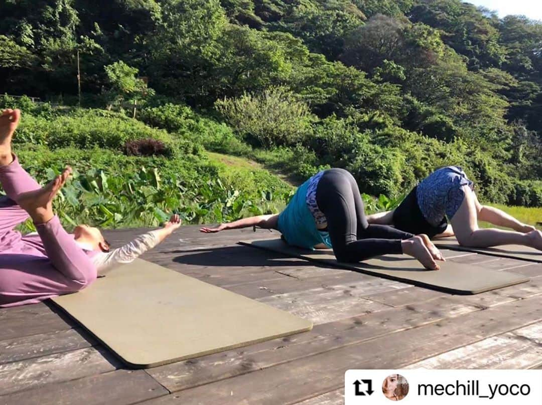 ヒデトレさんのインスタグラム写真 - (ヒデトレInstagram)「🐥 #Repost @mechill_yoco with @make_repost ・・・ うまくいくことばかりじゃない けれど  人生は体験の連続 そこから学ぶ  体験学習  やってみて みてみて 考えてみて わかる  やってみなくちゃ 何もわからない  やってみると うまくできなくても 何かはわかる  何かわかれば また試めすことができる  そうやって グルグル登っていく  それに勇気を出してやってみたら 案外、しっくりくるかもしれない  それもやってみなくちゃわかない  #やってみる  3年前に出会ったヒデトレも とりあえず やってみた 会ってみた  そしたら案外しっくりきて 続いてる  そこから  食事のことも カラダのことも ココロのことも  知りたいと思った だから またやってみる  わたしの体験学習は続く  #コロンと虫のようになっています #胸から廻ろうとしたら #胸が詰まっていて #バランスを崩した #胸は呼吸の通り道 #開くと息しやすく #生きやすくなります  #ヒデトレ #メソッド @hidetore   #体験学習 #教えてくれたのは まりえちゃんの主催する #聞くワーク  @shekira.marie   ありがとう グルグル登っていけそうよ」10月5日 8時28分 - hidetore