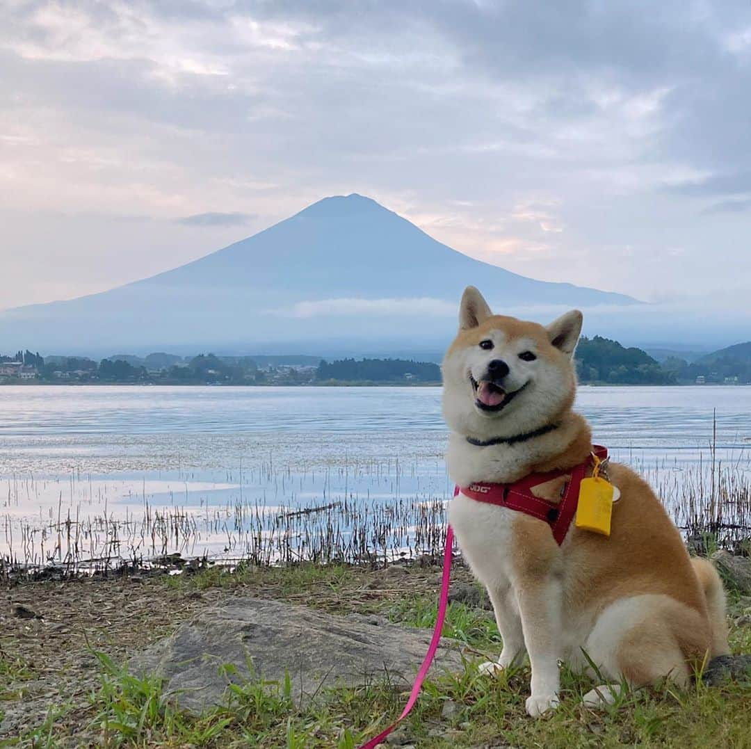 てんパパのインスタグラム