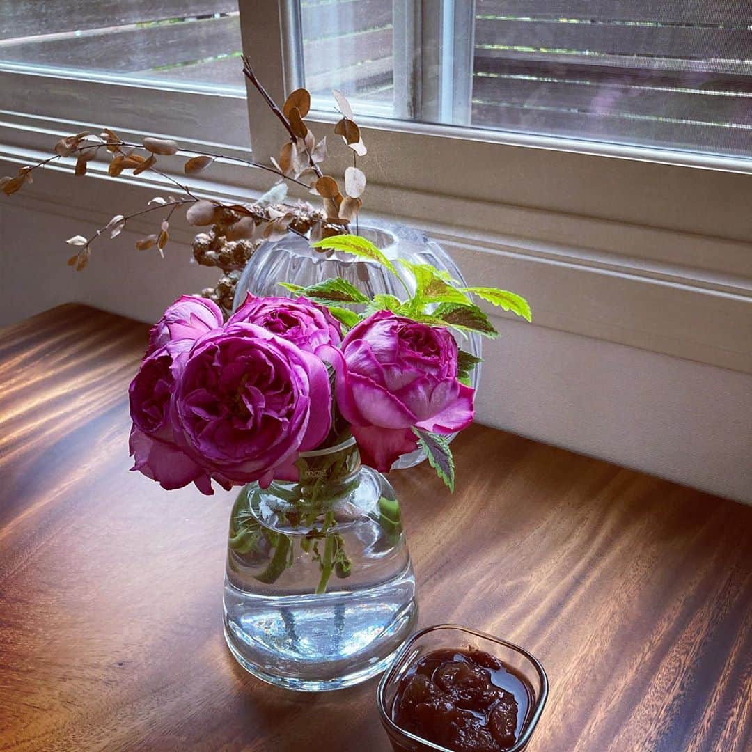 瓜生明希葉さんのインスタグラム写真 - (瓜生明希葉Instagram)「おはようございます😊 今週はバラ！と高貴な気分で買ったけれどたった数日でもう花弁が落ちそう。  贅沢なお花。だが何にも代え難いステキさがある。美しいものは儚い。美しいことの宿命。よし写真とっておこう。昨日つくったイチジクの赤ワイン煮添え🍷 今週も機嫌よく！  #flowerstagram #花が好き #rosestagram」10月5日 8時38分 - akiha_uryu