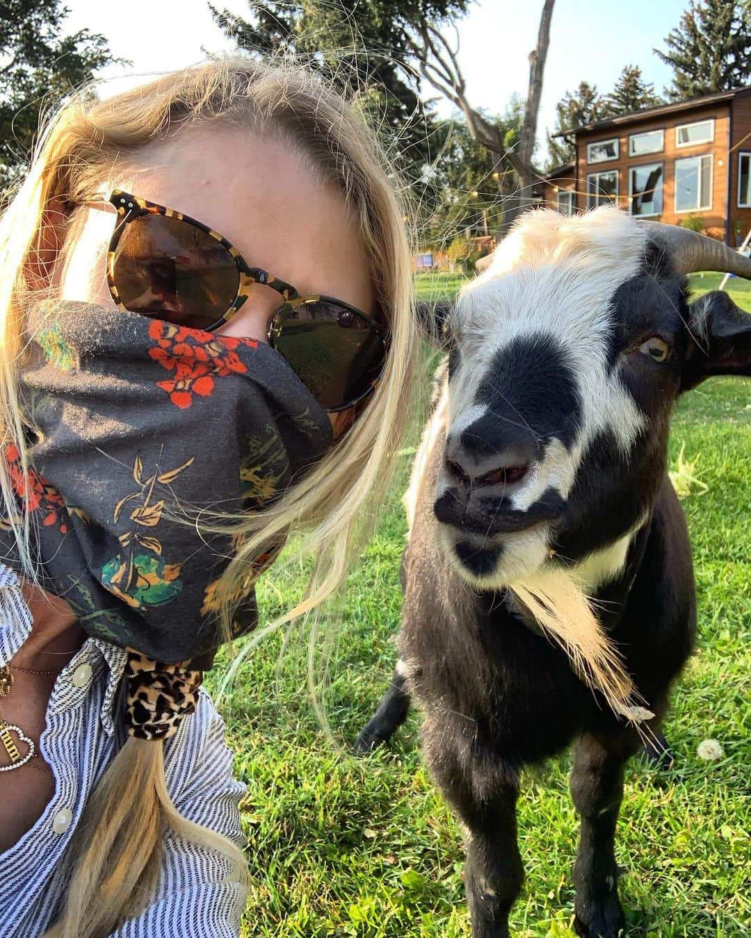 エミリー・デ・レイヴィンのインスタグラム：「My new friend wanted to take a selfie with me. 🥰🐐 Side note: I love goats & would like to have a field of small goats. 🤷🏼‍♀️🤪 To see more of us on this lovely little farm, keep your eyes on my IGTV for new “Making It Up As I Go” episodes, every week! & pls check out Ep. 1 & 2 on my IGTV now! #makingitupasigoshow #goatlife #farmlife #goatlove (hoping this is not some inappropriate # 🧐) #farmdreams」