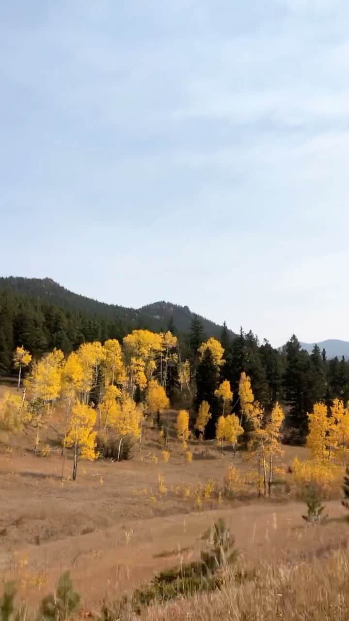 のインスタグラム：「Take a drive with me ⛰🌲🍂🌬  Spent yesterday up in the Golden Gate Canyon State Park recharging my batteries.  Would recommend, but get there early bc parking is a mission!」