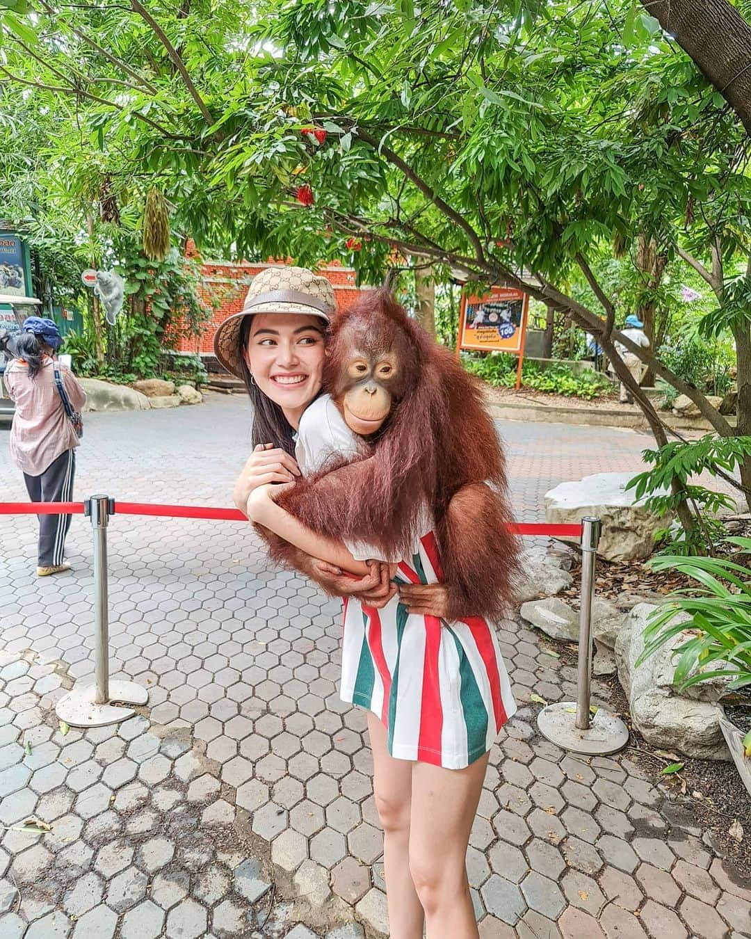 マイ・ダーウィカーのインスタグラム：「Goodmorning 🐒❤️」