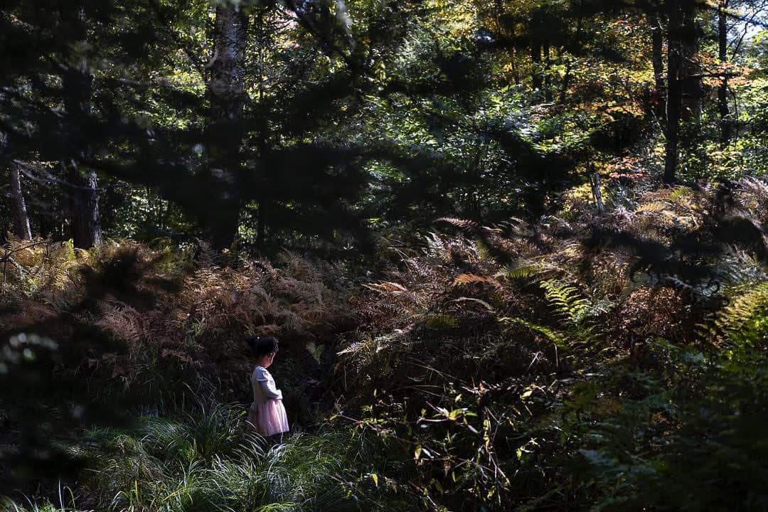 thephotosocietyさんのインスタグラム写真 - (thephotosocietyInstagram)「Photo by Amy Toensing @amytoensing // Building fairy houses with my daughter Elsa on our land on the edge of the Adirondacks and rediscovering magic as I witness my daughter experience these spaces for the first time. For more of this work, please visit my feed @amytoening - - @fujifilm_us  #xpro3 #daughterlove #adk #adirondacks #forests #fairytail #nature」10月5日 10時29分 - thephotosociety