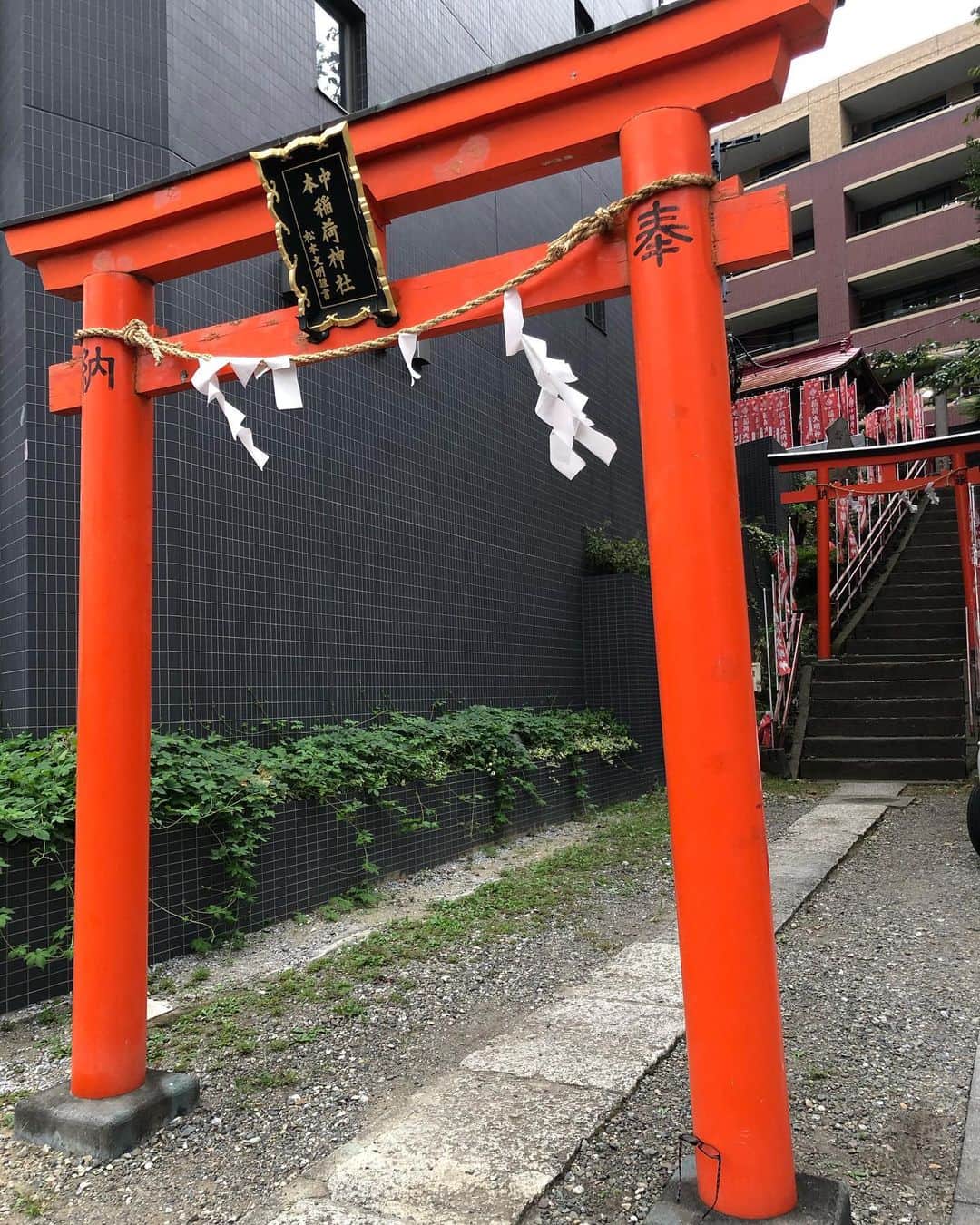 与座よしあきのインスタグラム：「おいおいちょっと待ってくれよ！写っちゃってるよ！なんでーーー！！！」