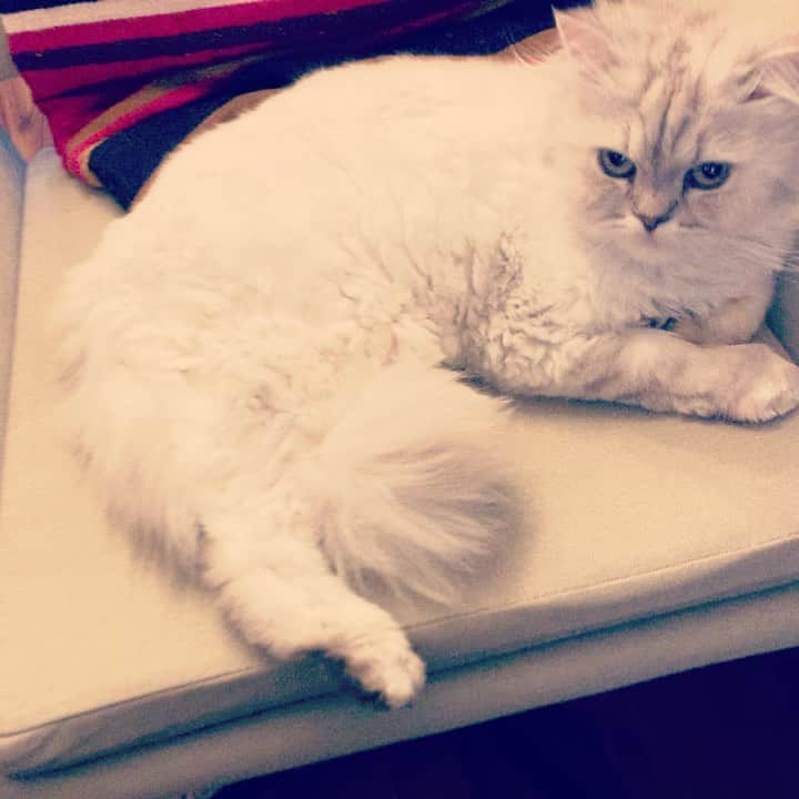 SATOKOのインスタグラム