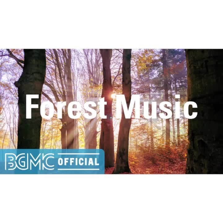Cafe Music BGM channelのインスタグラム