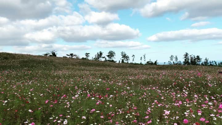 チン・ソヨンのインスタグラム：「☁️☁️☁️ #집앞이라니」