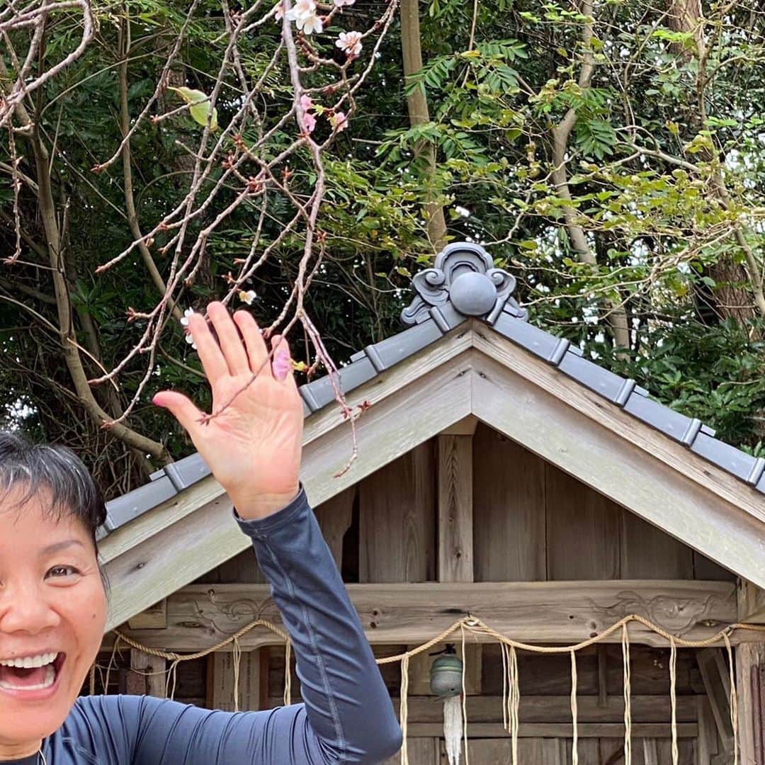 山本華世のグルメインスタ