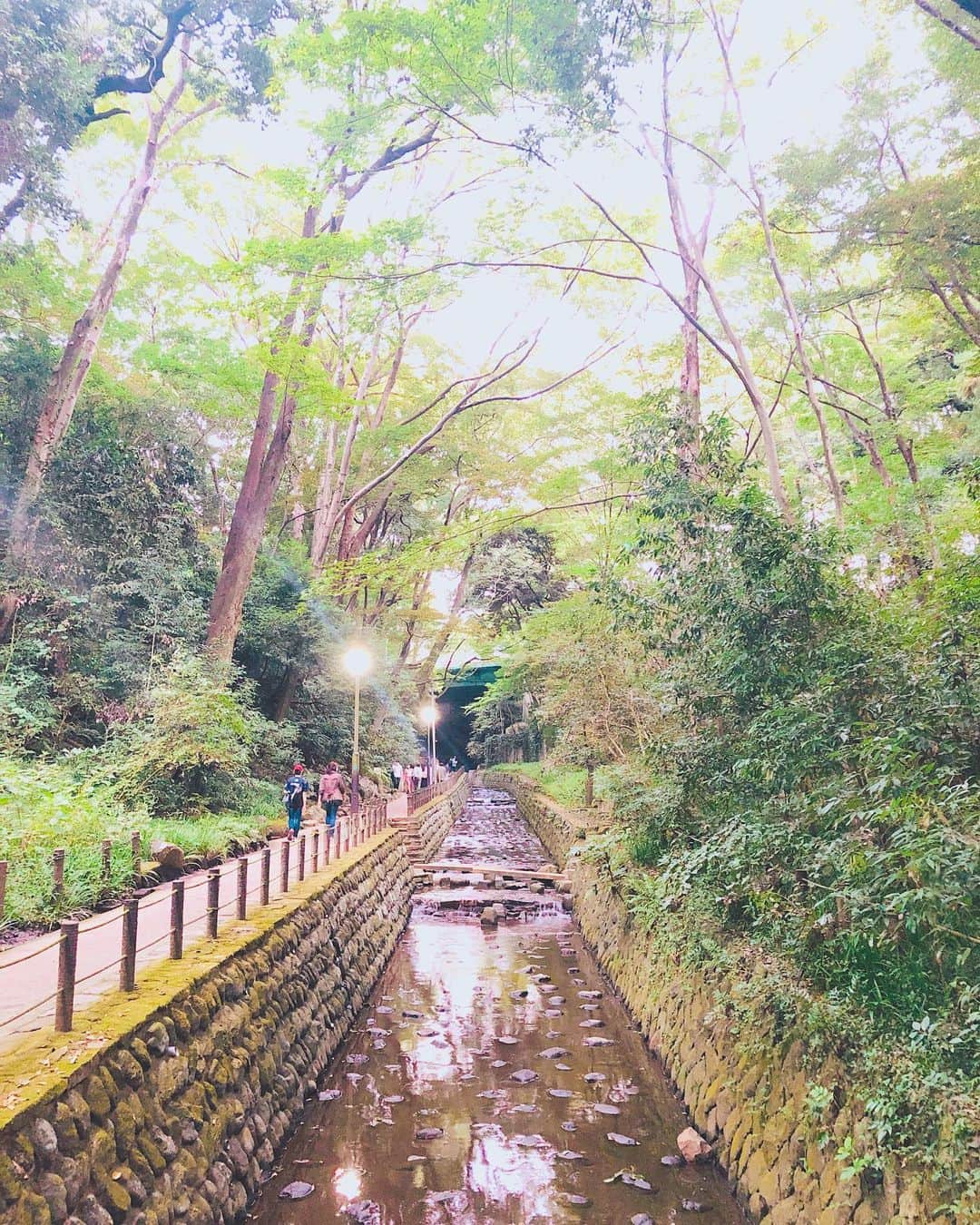 菊池かなこのインスタグラム：「🌿等々力渓谷🌿 . 都心からすぐに こんなオアシスがあってびっくり😲 . . ୨୧┈┈┈┈┈┈┈┈┈┈┈┈┈┈┈┈┈୨୧ #等々力渓谷#等々力渓谷公園 #マイナスイオン#等々力不動尊 #等々力駅#大井町線#世田谷区 #東京観光#東京ドライブ#東京カメラ部」