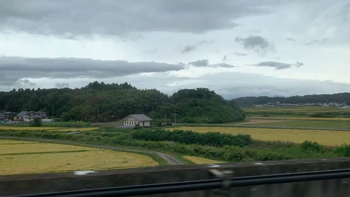 金子貴俊のインスタグラム：「田園風景は癒されるなぁー。」