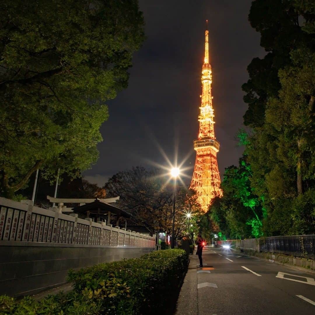 東京プリンスホテルさんのインスタグラム写真 - (東京プリンスホテルInstagram)「空に煌めく東京タワー。⁣ 夜のお散歩の際にはお見逃しなく。⁣ ⁣ Tokyo Tower glittering in the sky.⁣ Be sure not to miss it when you go for an evening stroll.⁣ ⁣ Share your own images with tagging @tokyoprincehotel⁣ —————————————————————⁣ #tokyoprincehotel #princehotel #hotel #hotels #tokyohotel #TokyoTower #shibakoen #tokyo #japan #travel #trip #travelgram #traveling #japantravel #beautifulhotels #hotellife #東京プリンスホテル #プリンスホテル #ホテル #東京タワー #芝公園 #東京 #日本 #旅行」10月5日 12時00分 - tokyoprincehotel