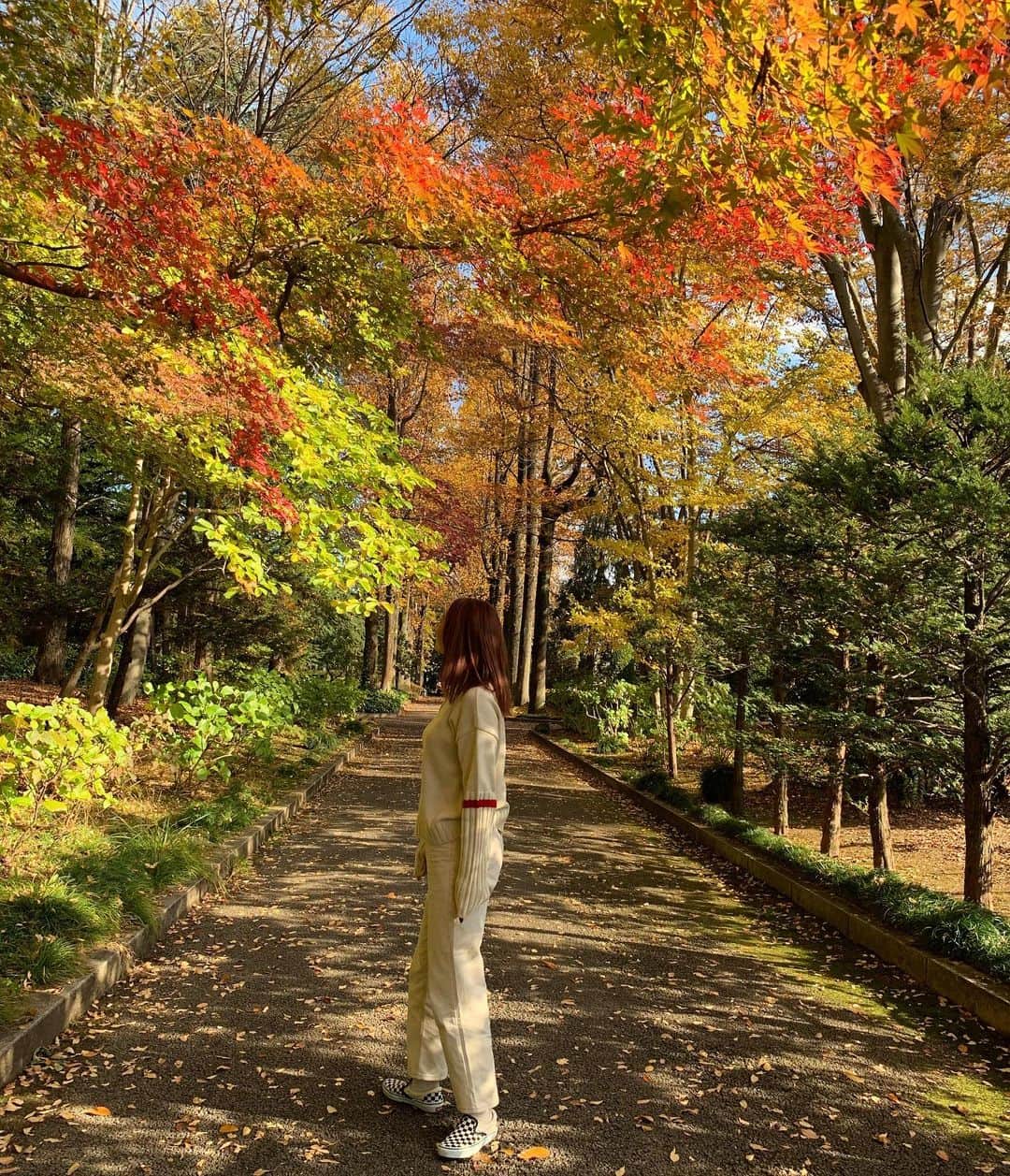 新原愛加さんのインスタグラム写真 - (新原愛加Instagram)「. 秋🍁🍂 もう涼しいですね~ 写真は去年のです☺️  #秋 #autumn #가을」10月5日 12時03分 - niihara_mnk