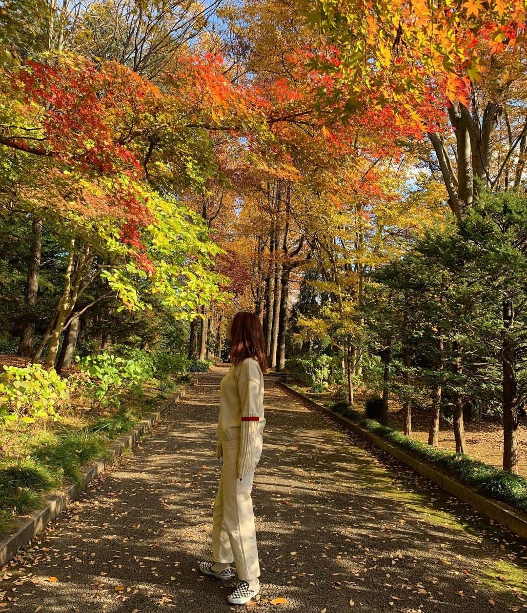 新原愛加のインスタグラム：「. 秋🍁🍂 もう涼しいですね~ 写真は去年のです☺️  #秋 #autumn #가을」