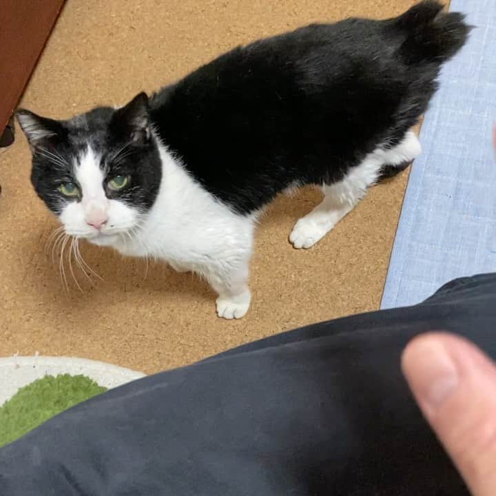 MAKO0MAKO0のインスタグラム