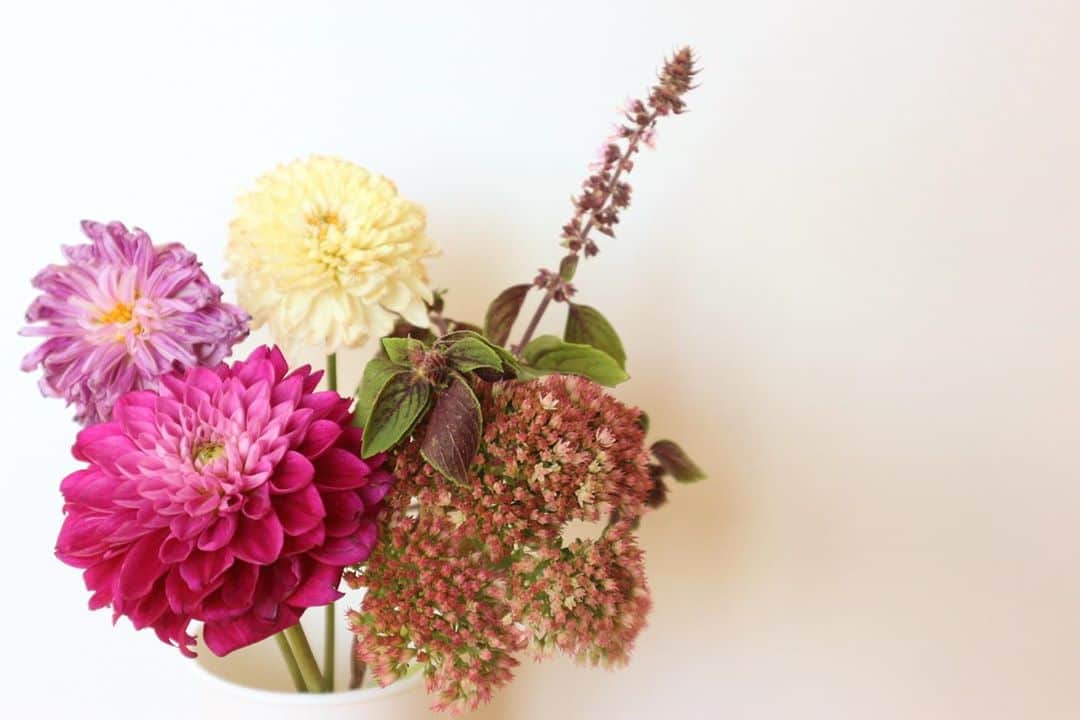 RENA さんのインスタグラム写真 - (RENA Instagram)「先日友人達と久しぶりに集まった時お花貰いました❤︎ ． 土手沿いに咲いた草花を摘んでくるとかブリザードフラワーを買ったりはあるけど、生花を買うって久しくしてなかったから嬉しかった🌼 ． たまにはお花屋さんに行ってみようと思いました;) . . #花のある暮らし #プレゼント #オトナ女子 #その前に花瓶を買おうw #スタバのカップw #リユース #リサイクル #3R #flower #gift #thankyou #naturallife #reuse」10月5日 12時53分 - rena_flare