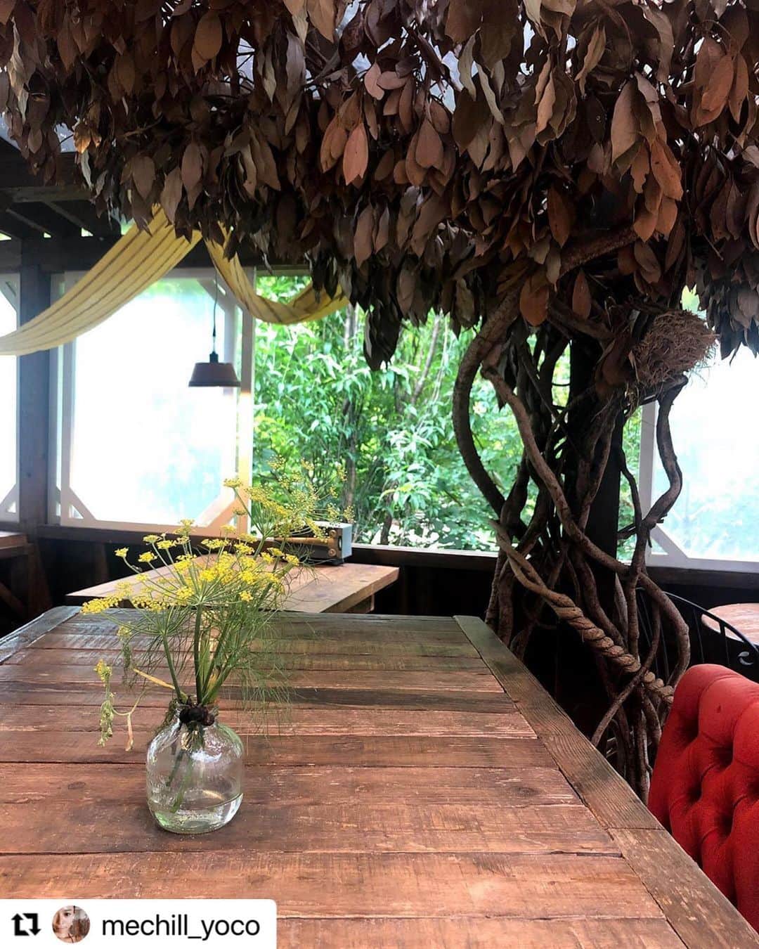 ヒデトレのグルメインスタ