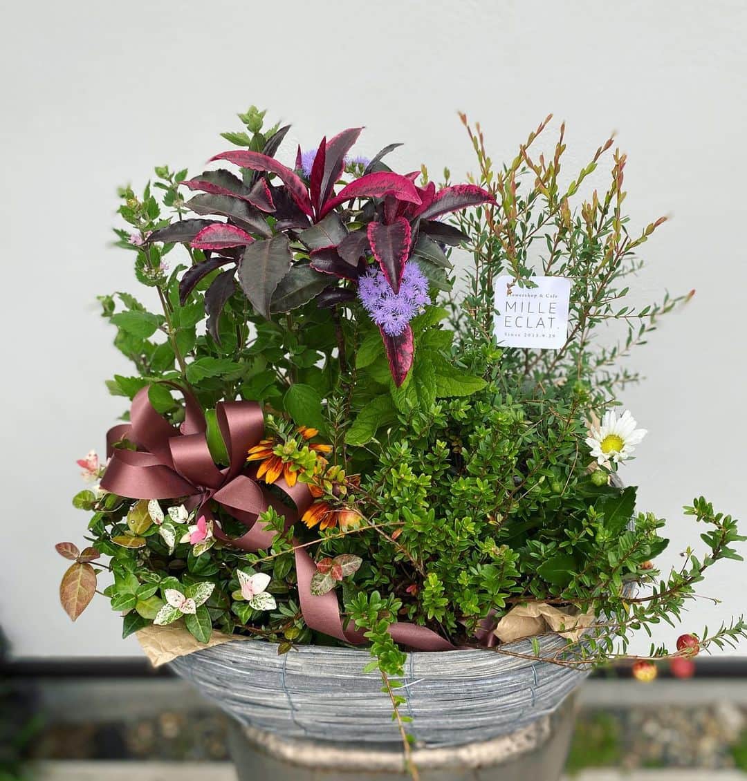 MILLE ECLAT.のグルメインスタ