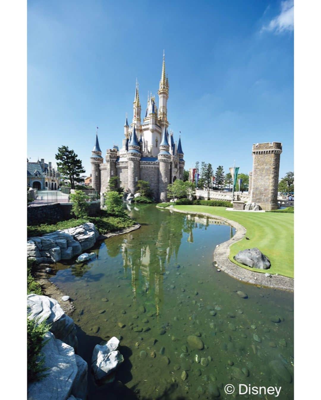 月刊ディズニーファン【公式】さんのインスタグラム写真 - (月刊ディズニーファン【公式】Instagram)「#ディズニーファン11月号「行った気になれる　#東京ディズニリゾート 誌上散策！」より、#東京ディズニーランド の#シンデレラ城 の写真を公開📸 パークのどこから見ても美しいシンデレラ城って最高❣️行ったらまず見に行きたいよね🚶‍♀️🚶‍♂️👀✨  ディズニーファン11月号に掲載の記事は、2020年９月11日現在の情報にもとづいています。掲載した情報は、予告なく内容が変更、中止になる場合があります。  各情報の最新状況につきましては、誌面に掲載のお問い合わせ先にお問い合わせください。  東京ディズニーリゾートに関する情報は、 東京ディズニーリゾートインフォメーション 電話0570-00-8632　受付時間：9:00-17:00 （年中無休） （一部のPHS・IP電話・国際電話の方は045-330-5211）にお問い合わせください。  読者の皆様にはご迷惑をおかけいたしますが、何とぞご了承いただけますよう、お願い申し上げます。  #ディズニーファン #月刊ディズニーファン #disneyfan #ディズニー公式情報誌 #disney #ディズニー #disneyphoto #disneylife #disneylove #tokyodisneyresort #tokyodisneyland #東京ディズニーリゾート #トゥモローランド #ファンタジーランド #ウエスタンランド」10月5日 13時54分 - dfan_mag_official