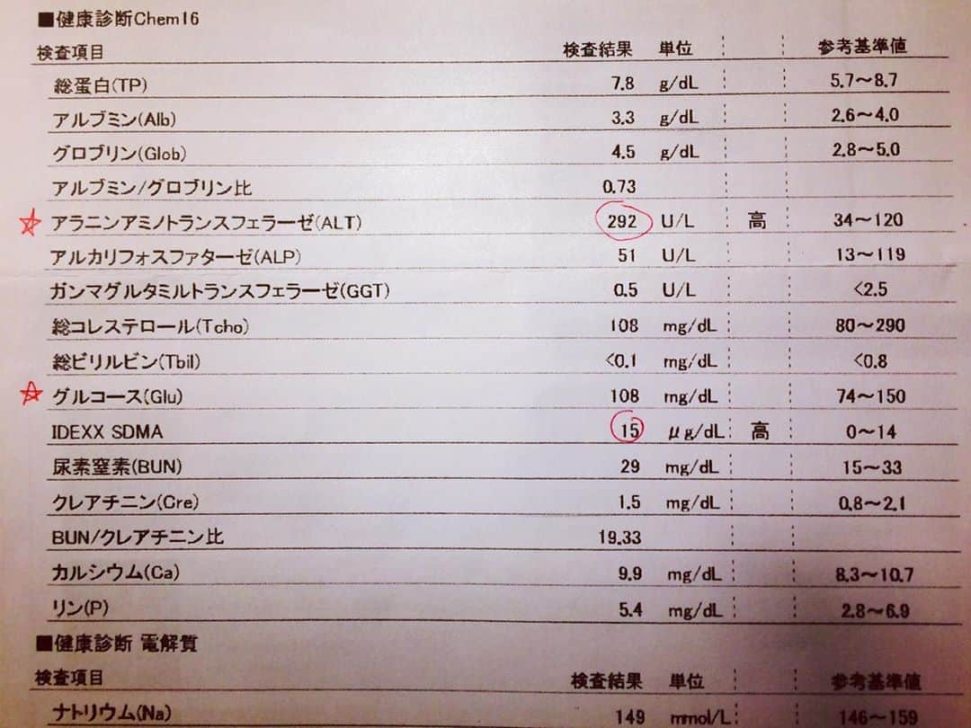 岡田屋鉄蔵のインスタグラム：「ナブさん定期健診。 肝数値が相変わらず高い…。前回より上がってしまった。サプリと食事だけでは効果が薄いので今月からお薬飲みます。  ううむ。 一見、元気にしてるんですが。来月の健診で少しでも数値改善しますように。」