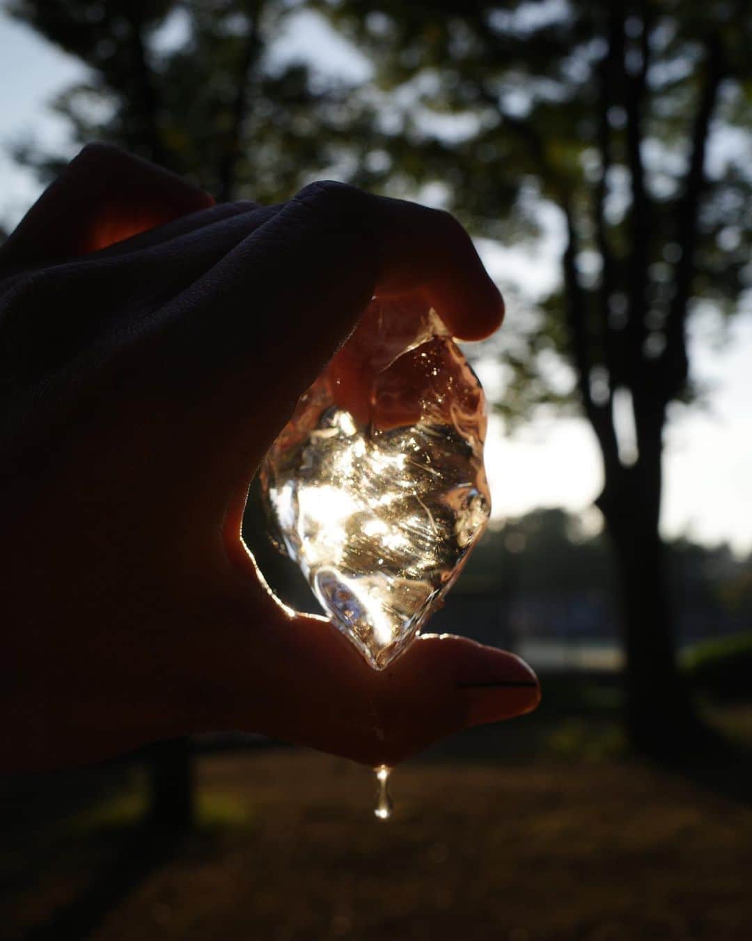 奇妙礼太郎のグルメインスタ