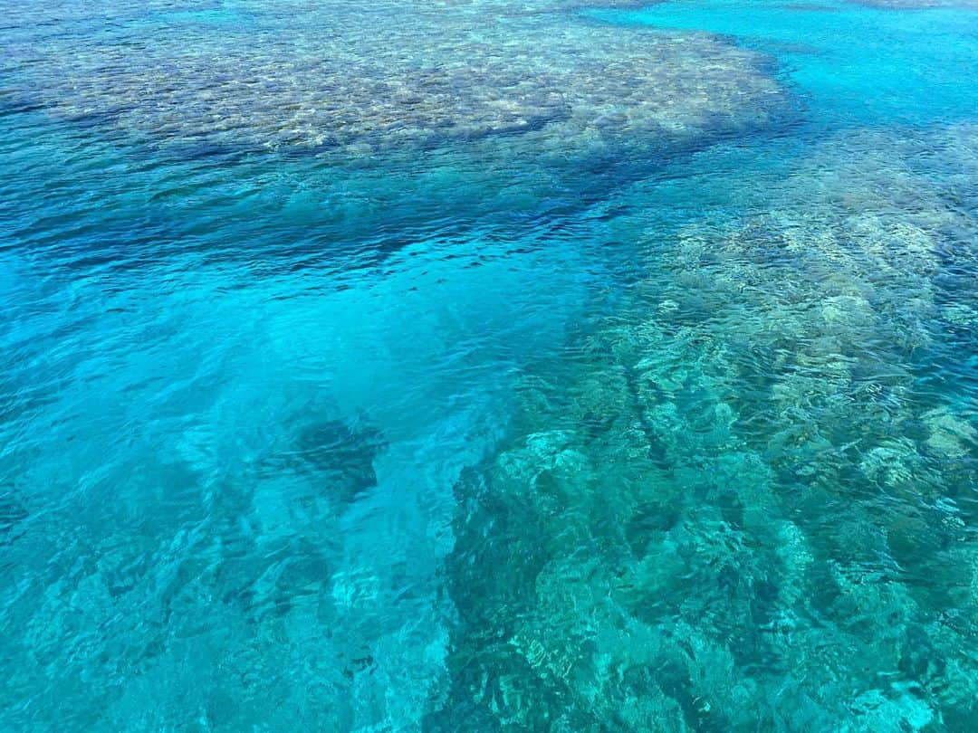 湯川正人さんのインスタグラム写真 - (湯川正人Instagram)「日本のFIJI👼」10月5日 17時24分 - masatoyukawa