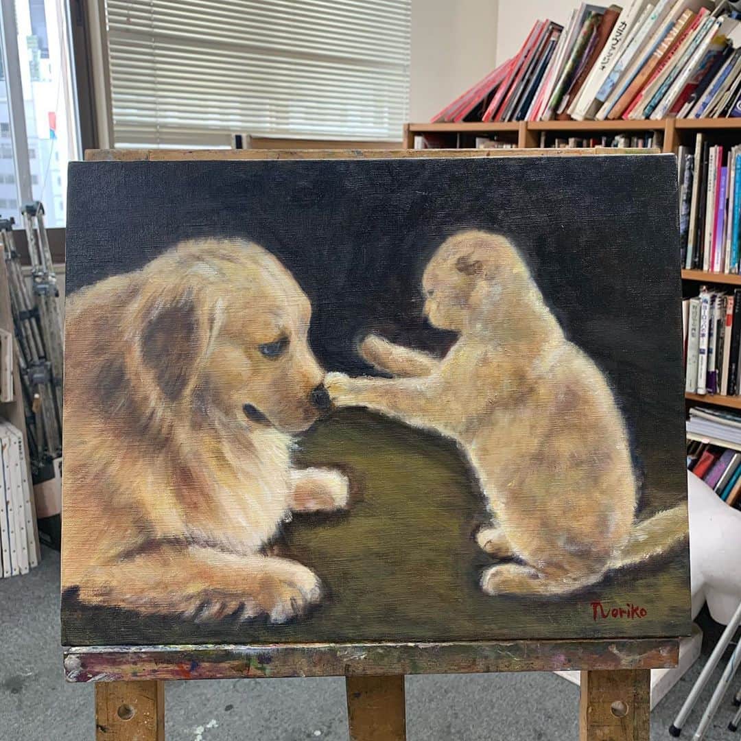 のインスタグラム：「#油絵　#作品完成❣️ #わんにゃん　 #猫パンチ @gonta_5go   #趣味　#絵画🖼 #犬#猫」