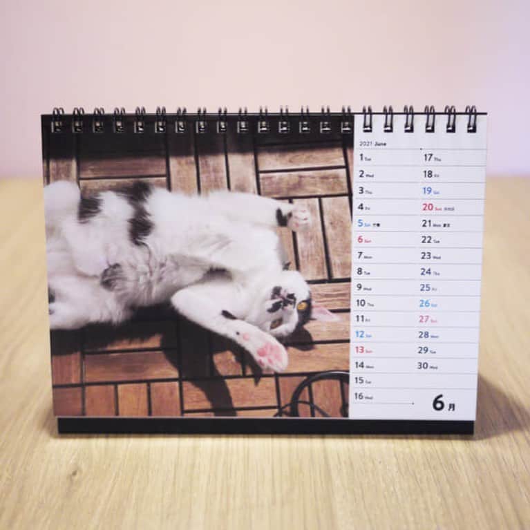 ほぼ日刊イトイ新聞さんのインスタグラム写真 - (ほぼ日刊イトイ新聞Instagram)「【うちのコでドコノコカレンダーを】 うちのコの写真でつくることができる ドコノコカレンダー2021 の受付が 明日10月6日（火）からはじまります。  犬猫写真アプリ「ドコノコ」に投稿した写真から 12枚を選んでつくる「うちのコ」だけのカレンダー！  毎年好評をいただいているのですが、 2021年版はお送りいただいた ご意見をもとに壁掛けや卓上カレンダーの ラインナップを進化させて、 全6種類からお選びいただけるようになりました！  受付期間など詳細は @hobonichi1101 のリンクからぜひチェックしてください。 https://www.dokonoko.jp/news/6521  #ドコノコ #dokonoko @dokonokoapp #ドコノコカレンダー #カレンダー #卓上カレンダー #壁掛けカレンダー #dokonokoapp﻿ #犬 #いぬ﻿ #いぬすたぐらむ﻿ #いぬのいる暮らし﻿ #猫 #ねこ﻿ #ねこすたぐらむ﻿ #ねこのいる暮らし﻿ #ほぼ日 #ほぼ日刊イトイ新聞﻿」10月5日 17時44分 - hobonichi1101