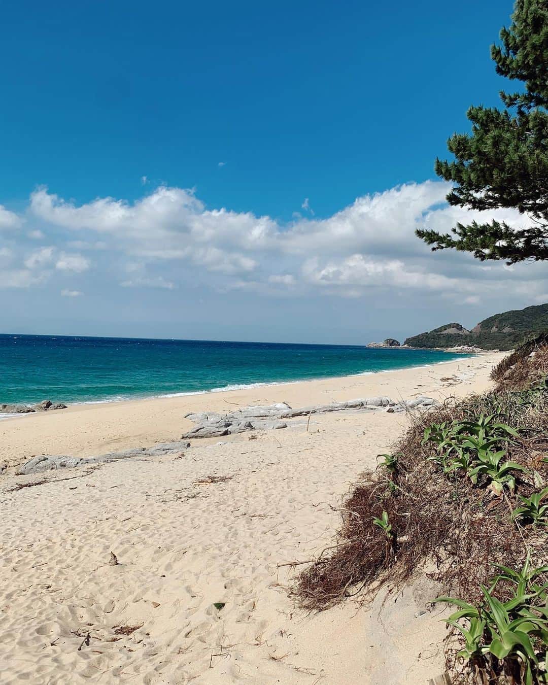 植野有砂さんのインスタグラム写真 - (植野有砂Instagram)「Beach 2020🥺🏖😷 #屋久島」10月5日 18時01分 - alisaueno
