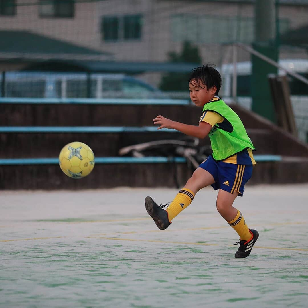 ベガルタ仙台さんのインスタグラム写真 - (ベガルタ仙台Instagram)「ベガルタ仙台サッカースクール 新規入会・紹介キャンペーン ご入会は、ぜひこの機会に！ベガルタタオルプレゼント！スクール生のみなさん、新しい仲間を紹介してください！ベガルタグッズをプレゼント！ まずは無料体験！WEBからお申込みいただけます。 🔗https://vegalta.suku2.io  📸宮城野校 オレンジフィールド (仙台市宮城野区鶴巻1-2-26) 🔗https://www.vegalta.co.jp/academy/school-list/miyagino.html  --- 新規入会・紹介キャンペーン --- 新規入会の方にはベガルタタオル、紹介してくれたスクール生にはベガルタグッズをプレゼント。 【期間】9/21～10/31 【対象】期間内に「入会手続きを行なった新規ご入会者」または「お友達を紹介してくれたスクール生」 【申込方法】入会・紹介者名とスクール校名をご記入の上ご提出ください。  --- ベガルタ仙台サッカースクール --- サッカーを通じて豊かな人間性を育て、基礎技術やテクニック、運動能力の向上を目指します。自主性や協調性、モラル、マナーを養い、社会で活躍できる人材の育成、心身の成長を目標にしています。 [県内12校] 泉パークタウン校、泉野村校、若林荒井校、宮城野校、長町校、青葉校、太白校、古川校、石巻校、栗原校、名取校、仙南校 [特徴あるコース] レベルアップ、アドバンス、GKクリニック、大人のサッカークリニック  無料体験で、自分に合ったぴったりの場所、コースを見つけてください！ 申込み、ご質問はスクール事務局へWEB、メール、お電話で 🔗https://vegalta.suku2.io ✉️vegalta_school@vegalta.co.jp 📱022-377-1101（平日12:00～14:30）  /// #2020_VEGALTA_SENDAI /// #ベガルタ仙台サッカースクール #サッカースクール #仙台 #絆フットボール #Jリーグ #VegaltaSendai #VEGALTA #Sendai #KIZUNAfootball」10月5日 18時02分 - vegaltasendai