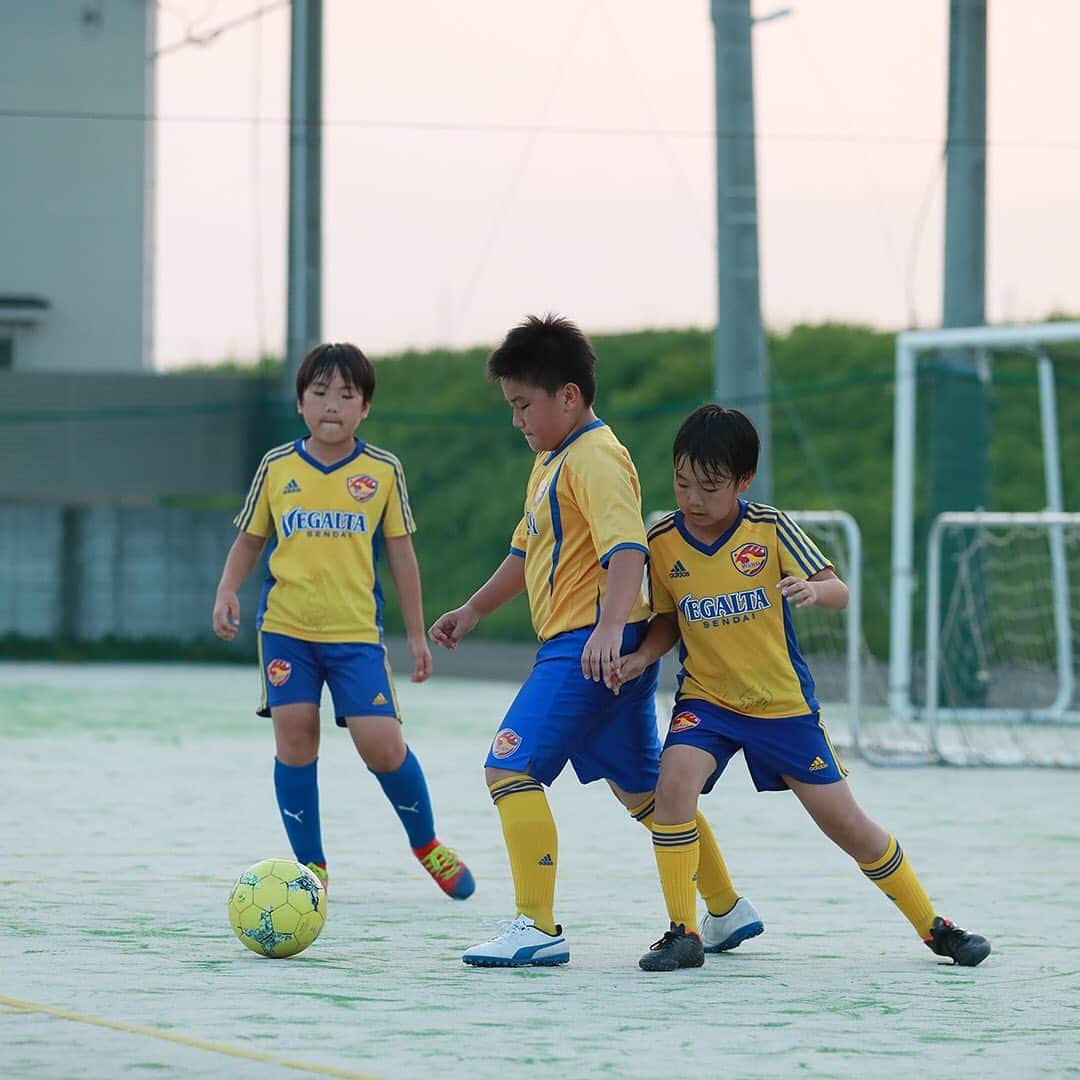 ベガルタ仙台さんのインスタグラム写真 - (ベガルタ仙台Instagram)「ベガルタ仙台サッカースクール 新規入会・紹介キャンペーン ご入会は、ぜひこの機会に！ベガルタタオルプレゼント！スクール生のみなさん、新しい仲間を紹介してください！ベガルタグッズをプレゼント！ まずは無料体験！WEBからお申込みいただけます。 🔗https://vegalta.suku2.io  📸宮城野校 オレンジフィールド (仙台市宮城野区鶴巻1-2-26) 🔗https://www.vegalta.co.jp/academy/school-list/miyagino.html  --- 新規入会・紹介キャンペーン --- 新規入会の方にはベガルタタオル、紹介してくれたスクール生にはベガルタグッズをプレゼント。 【期間】9/21～10/31 【対象】期間内に「入会手続きを行なった新規ご入会者」または「お友達を紹介してくれたスクール生」 【申込方法】入会・紹介者名とスクール校名をご記入の上ご提出ください。  --- ベガルタ仙台サッカースクール --- サッカーを通じて豊かな人間性を育て、基礎技術やテクニック、運動能力の向上を目指します。自主性や協調性、モラル、マナーを養い、社会で活躍できる人材の育成、心身の成長を目標にしています。 [県内12校] 泉パークタウン校、泉野村校、若林荒井校、宮城野校、長町校、青葉校、太白校、古川校、石巻校、栗原校、名取校、仙南校 [特徴あるコース] レベルアップ、アドバンス、GKクリニック、大人のサッカークリニック  無料体験で、自分に合ったぴったりの場所、コースを見つけてください！ 申込み、ご質問はスクール事務局へWEB、メール、お電話で 🔗https://vegalta.suku2.io ✉️vegalta_school@vegalta.co.jp 📱022-377-1101（平日12:00～14:30）  /// #2020_VEGALTA_SENDAI /// #ベガルタ仙台サッカースクール #サッカースクール #仙台 #絆フットボール #Jリーグ #VegaltaSendai #VEGALTA #Sendai #KIZUNAfootball」10月5日 18時02分 - vegaltasendai