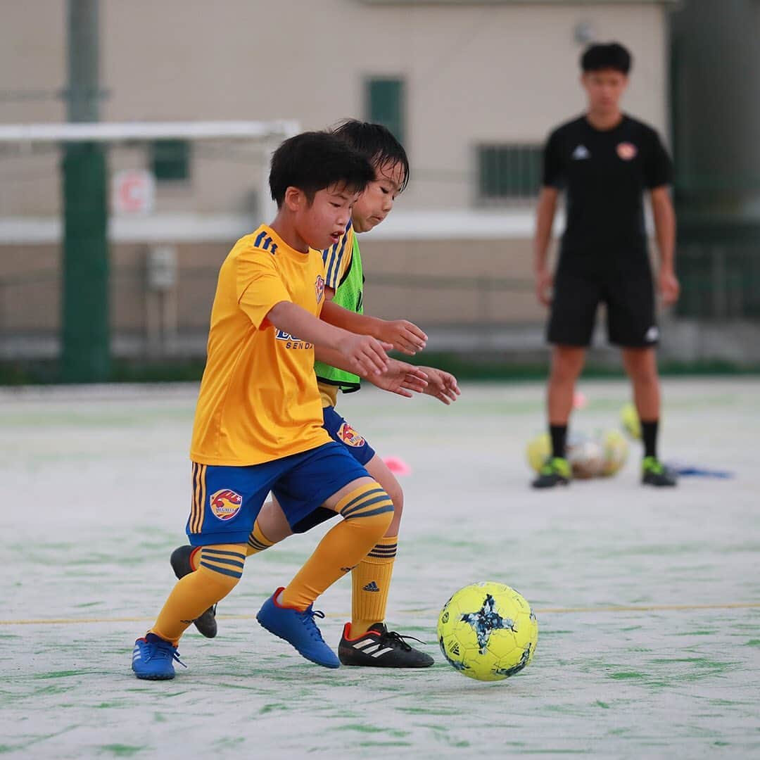 ベガルタ仙台さんのインスタグラム写真 - (ベガルタ仙台Instagram)「ベガルタ仙台サッカースクール 新規入会・紹介キャンペーン ご入会は、ぜひこの機会に！ベガルタタオルプレゼント！スクール生のみなさん、新しい仲間を紹介してください！ベガルタグッズをプレゼント！ まずは無料体験！WEBからお申込みいただけます。 🔗https://vegalta.suku2.io  📸宮城野校 オレンジフィールド (仙台市宮城野区鶴巻1-2-26) 🔗https://www.vegalta.co.jp/academy/school-list/miyagino.html  --- 新規入会・紹介キャンペーン --- 新規入会の方にはベガルタタオル、紹介してくれたスクール生にはベガルタグッズをプレゼント。 【期間】9/21～10/31 【対象】期間内に「入会手続きを行なった新規ご入会者」または「お友達を紹介してくれたスクール生」 【申込方法】入会・紹介者名とスクール校名をご記入の上ご提出ください。  --- ベガルタ仙台サッカースクール --- サッカーを通じて豊かな人間性を育て、基礎技術やテクニック、運動能力の向上を目指します。自主性や協調性、モラル、マナーを養い、社会で活躍できる人材の育成、心身の成長を目標にしています。 [県内12校] 泉パークタウン校、泉野村校、若林荒井校、宮城野校、長町校、青葉校、太白校、古川校、石巻校、栗原校、名取校、仙南校 [特徴あるコース] レベルアップ、アドバンス、GKクリニック、大人のサッカークリニック  無料体験で、自分に合ったぴったりの場所、コースを見つけてください！ 申込み、ご質問はスクール事務局へWEB、メール、お電話で 🔗https://vegalta.suku2.io ✉️vegalta_school@vegalta.co.jp 📱022-377-1101（平日12:00～14:30）  /// #2020_VEGALTA_SENDAI /// #ベガルタ仙台サッカースクール #サッカースクール #仙台 #絆フットボール #Jリーグ #VegaltaSendai #VEGALTA #Sendai #KIZUNAfootball」10月5日 18時02分 - vegaltasendai