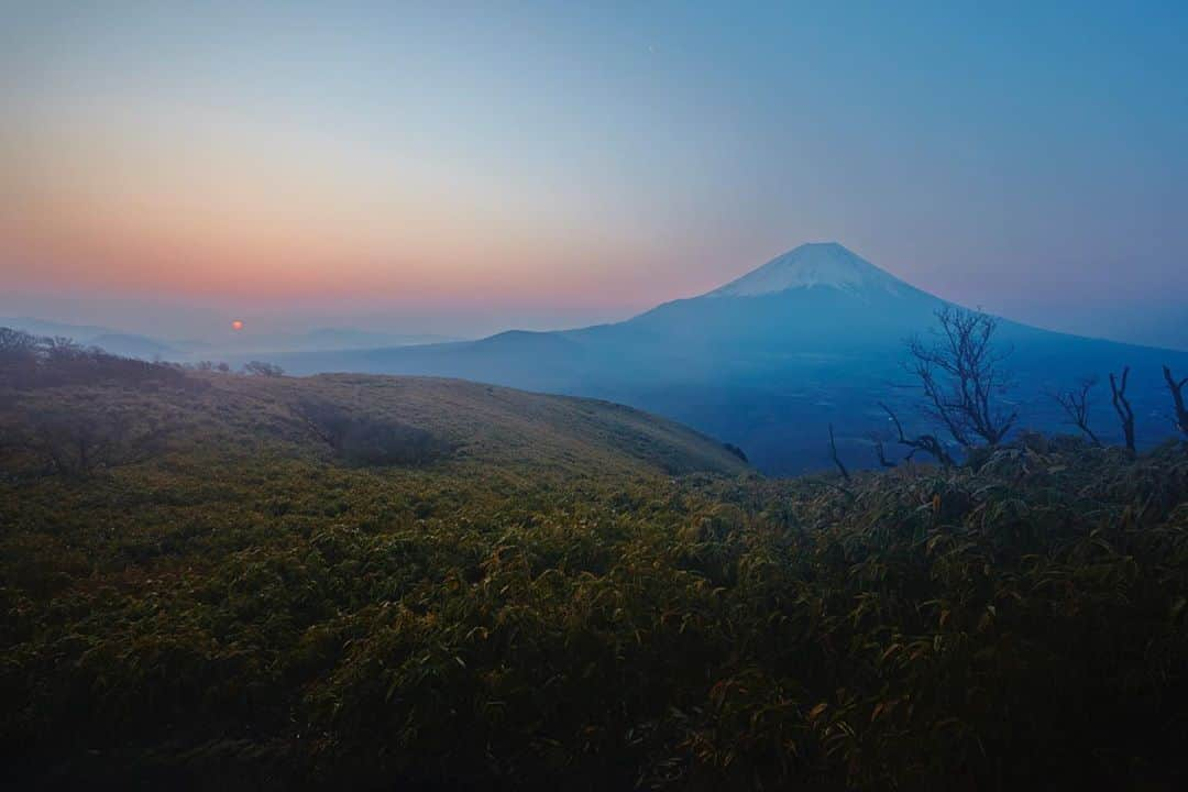 THE NORTH FACE JAPANさんのインスタグラム写真 - (THE NORTH FACE JAPANInstagram)「10月19日～25日開催の「Virtual UTMF」協賛のお知らせ  日本最大級のウルトラトレイルランニングレースのウルトラトレイル・マウントフジ（以下：UTMF　静岡県伊豆市・実行委員長：鏑木毅）は新型コロナウィルス感染拡大防止のため今年の4月に予定されていた「UTMF 2020」の開催が中止となった中、100マイル（160km）を走り切るきっかけをランニングコミュニティに提供する目的で、「Virtual UTMF」実施いたします。THE NORTH FACE アスリートも参戦。  2020年はあなただけの100マイルを完走しましょう！ 走行距離によるリーダーボードが表示されますが、速さや距離を競うものではありません。 各々のペースで100マイル（160ｋｍ）を完走してください。完走者全員にデジタルバッジをプレゼント。 そのほか応募者の中から抽選で THE NORTH FACEグッズ・CITROËNグッズが当たります。  ＊＊＊＊＊＊＊＊＊＊＊＊＊＊＊＊＊＊＊＊＊＊＊＊＊  ○開催期間：2020年10月19日(月) ～ 2020年10月25日(日)  ○使用アプリ：STRAVA　  http://strava.com/challenges/virtualutmf2020 （チャレンジページ公開日：2020年10月12日(月) ）  ○参加方法： ・STRAVAに会員登録後、「Virtual UTMF」チャレンジにエントリー。 ・実施期間中にGPSデバイスもしくはStravaのモバイルアプリで累計160kmのランニングを記録し、Stravaに公開 ・公開範囲が「全員」に設定されている記録のみがチャレンジの対象となります。  ○完走賞など： ① デジタルバッジ プレゼント（完走者全員） ② ワッペン（デジタルバッジと同デザイン）の購入権 ③ THE NORTH FACEグッズ プレゼント（完走した応募者から抽選） ④ CITROËNグッズ プレゼント（完走した応募者から抽選）  ○完走賞の入手方法など： ① デジタルバッジは完走者全員にプレゼント。 ②～④ 日本国内在住者のみ対象となります。 完走後に届くメール内にあるフォームよりアクセス。  ○注意事項： ・通常のランニング・トレイルランニングを行う事ができるエリアで実施してください。 ・UTMFの試走可能エリアは大会公式サイトをご確認ください。くれぐれも試走可能エリア以外の走行はやめてください。 ・夜間のトレイルの単独走など無理な走行計画で実施しないでください。特にトレイルを走行する場合は家族や友人に行き先や計画を伝えた上で実施してください。 ・道路・登山道問わずランニングのマナーを遵守してください。 ・このチャレンジを達成してもUTMFの参加資格にはなりませんので予めご了承ください。  皆様のご参加をお待ちしております！  ■THE NORTH FACE 公式ＨＰ　　 https://www.goldwin.co.jp/tnf/whatsnew/detail/?pi3=6867&pi=6867  #thenorthface #tnfjp #strava #utmf #Virtualutmf #ザノースフェイス」10月5日 18時20分 - thenorthfacejp