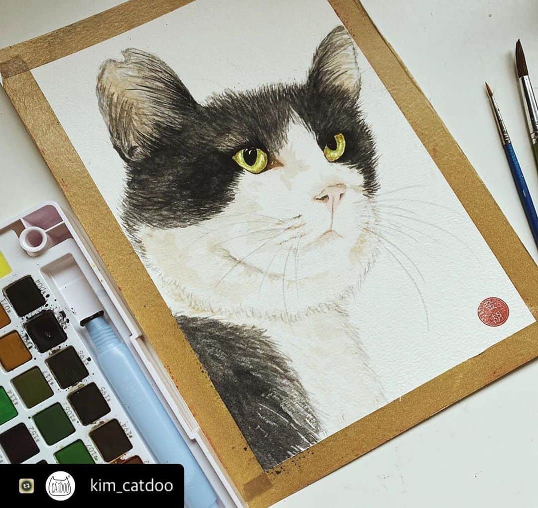 Kachimo Yoshimatsuさんのインスタグラム写真 - (Kachimo YoshimatsuInstagram)「マレーシアの @kim_catdoo さんがイカスミの絵を描いてくれました。 ありがとうございます。 #うちの猫ら #ikasumi #猫 #ねこ #cat #ネコ #catstagram #ネコ部 http://kachimo.exblog.jp」10月5日 18時38分 - kachimo