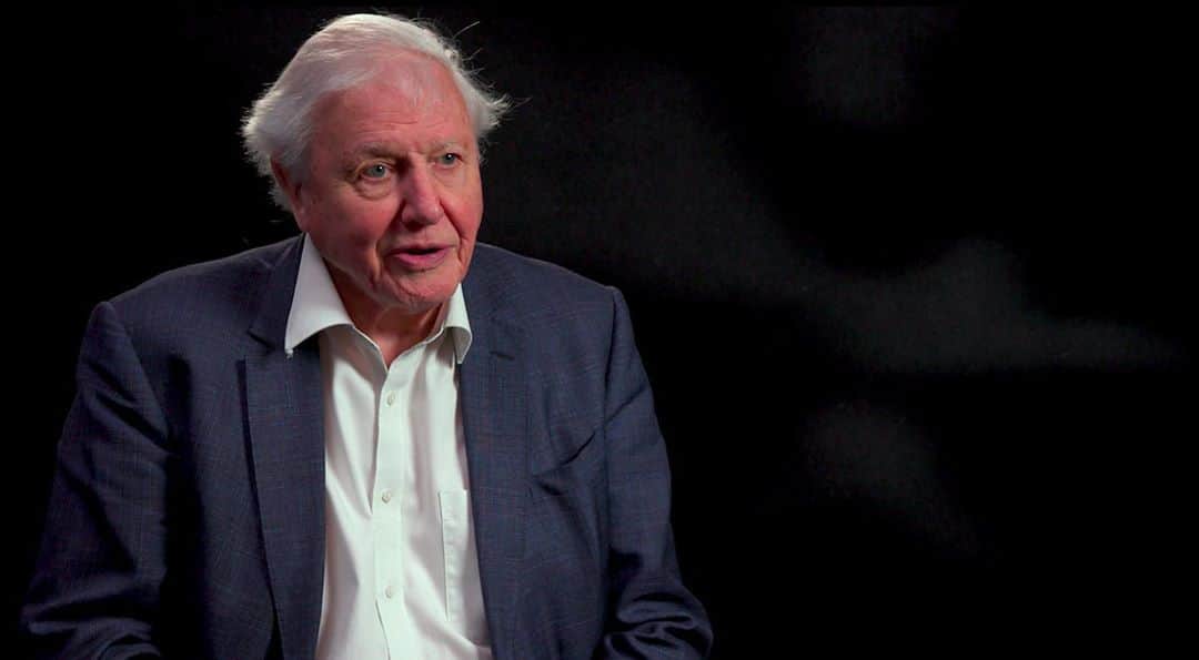 Jackson Harriesさんのインスタグラム写真 - (Jackson HarriesInstagram)「I’ve just shared a new film about my experience of travelling to Kenya with @silverback_films and @wwf_uk to meet and interview my hero @davidattenborough.   The link to the full film is in my bio. I’ll be replying to comments on YouTube all day today. 🎥🌍🎉」10月5日 18時48分 - jackharries