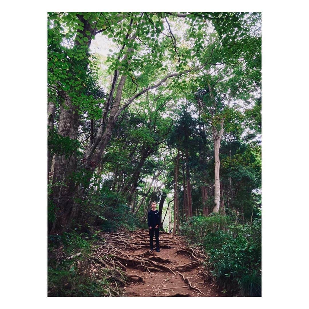 木下流声のインスタグラム：「. Power🌿 . . #forest #natural」