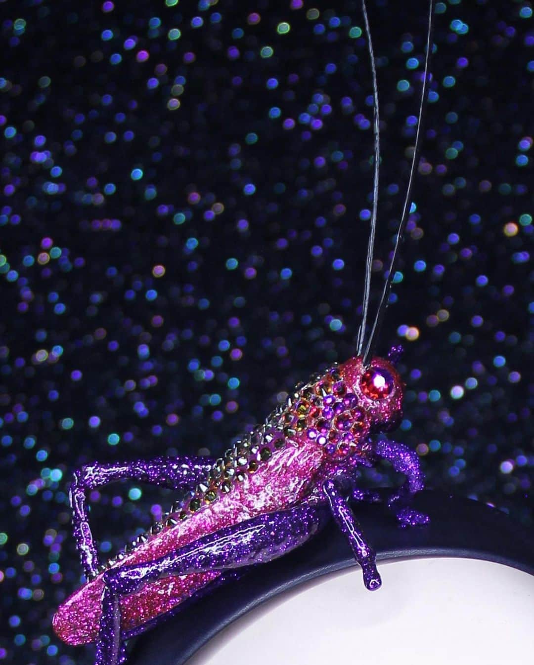 ピアーズアトキンソンさんのインスタグラム写真 - (ピアーズアトキンソンInstagram)「✨🦗✨ Hop into Monday with a one of a kind sparkling Hyper-Grasshopper 💖💜‼️ only at www.piersatkinson.com   Featuring; CRYSTAL ENCRUSTED HYPER-GRASSHOPPER HEADBAND WITH OSTRICH QUILL ANTENNA  A unique Deep-Purple leather headband trimmed with a Swarovski encrusted hyper-grasshopper with ostrich quill antenna. In Fuchsia and Purple with refracting Multi-Colour crystal.   A modern and fun headband perfect for spring/summer events or an evening soirée.   Fitting: Deep-Purple leather headband. One size.  #piersatkinson #millinery #hat #hats #headpiece #headdress #headband #milliner #maker」10月5日 19時32分 - piersatkinson