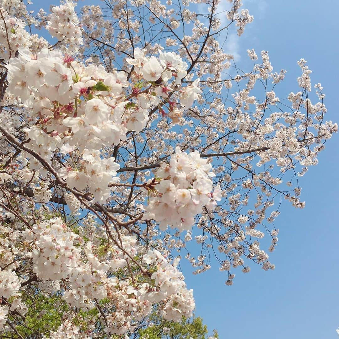 折井あゆみさんのインスタグラム写真 - (折井あゆみInstagram)「皆様にご報告です。  私、折井あゆみは本日付けでoffice48時代から約15年に渡りお世話になった、フレイヴエンターテインメントを円満退所する運びとなりました。  AKB48の一期生オーディションで出会い、今日まで、長期に渡り愛情をかけてくださった事務所の皆様には心から感謝しております。  共に汗をかき、笑い、歩んで参りました。私がこういった決断に至った際も、温かい言葉をかけてくださいました。  大好きな皆さんに背中を押してもらったからには、これまで以上に背筋を伸ばし、前を向いて進んでいきたいと思っております。  今までお仕事で関わってくださった皆様、本当にありがとうございました。 暫くの間はフリーランスで、これからも、女優業、声優業を中心に活動を続けて参ります。共に仕事をして良かったと言っていただけるよう精進していきますので、今後も引き続きご縁をいただけましたら幸いです。  そして、ファンの皆さん。安心してください。 私はまだまだ皆さんと共に進みます。これからも一緒に沢山の思い出を作っていきましょう！  折井あゆみ」10月5日 20時02分 - ayumi_orii720