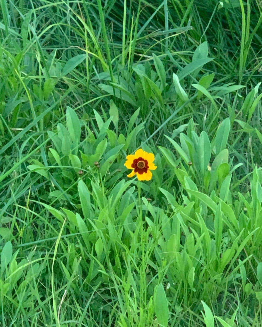 ナウンさんのインスタグラム写真 - (ナウンInstagram)「친구들이랑 매일매일 왔던 산책로🍂」10月5日 20時00分 - betterlee_0824