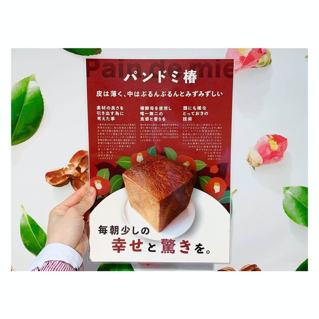 平岡映美さんのインスタグラム写真 - (平岡映美Instagram)「とっても美味しい食パンをいただきに…☺️🍞 もちもちで幸せな空間でした♡ ・ ・ ・ #デュヌラルテ  #パンドミ椿  #食パン大好き  ・ #平岡映美 #感謝」10月5日 20時08分 - eimi_hiraoka_official