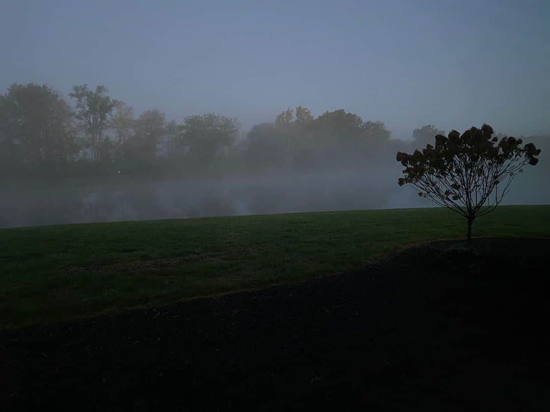 ブリー・オルソンのインスタグラム：「It’s fog season and I’m living for it 🥰」