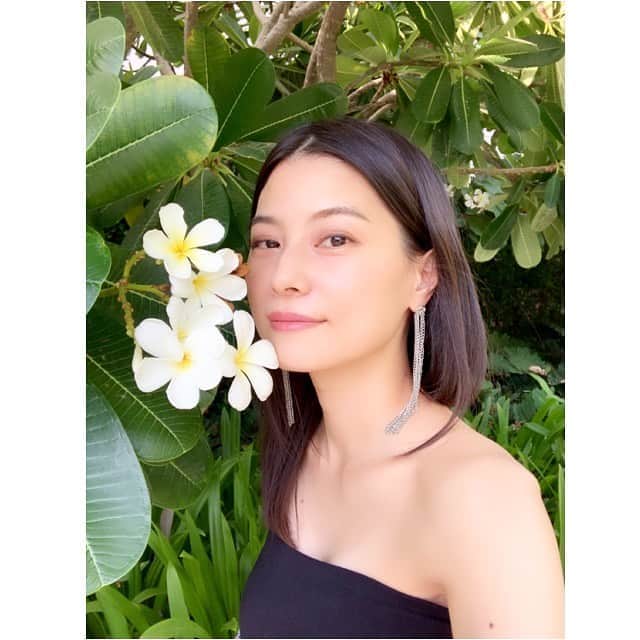 のインスタグラム：「宇宙の采配は、本当に完璧なんだなぁ😌✨ そう思わせてくれる出来事が次々と起きてる 私を調整してくれてる そして導いてくれてる 本当に不思議なご縁が繋がっていく 全ては計画通り 魂の約束 本当に宇宙って凄い 感謝と愛で溢れる ありがとう💖  #プルメリア#美しい#素敵#綺麗#ドバイ#愛#宇宙#地球#幸せ#flower#good#happy#beautiful#happiness#trip#Dubai#good#smile#japan」