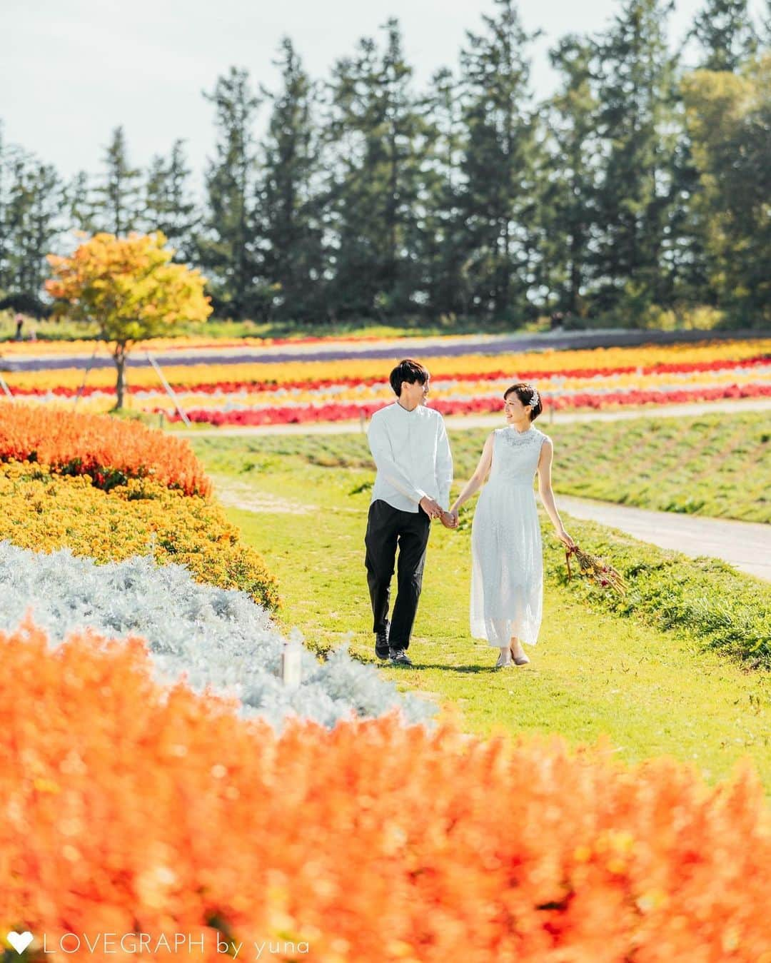 Lovegraph［ラブグラフ］さんのインスタグラム写真 - (Lovegraph［ラブグラフ］Instagram)「北海道で撮るお花畑ウェディングがかわいい…！💐 ㅤㅤㅤ ୨୧┈┈┈┈୨୧ ㅤㅤㅤ Lovegraphで撮影した過去のお写真を毎晩投稿❁︎ ㅤㅤㅤ カップル・ウェディング・ファミリー・プロフィール写真など様々なジャンルの撮影を受け付けています📸💫 ㅤㅤㅤ ご予約はプロフィールURLからどうぞ☺️✈️ @lovegraph_me ㅤㅤㅤ 姉妹アカウントもチェックしてください✩︎⡱ ㅤㅤㅤ 👶🏻 @lovegraph_kids 💍 @lovegraph_wedding 🤰 @lovegraph_maternity 📸 @lovegraph_academy ㅤㅤㅤ ୨୧┈┈┈┈୨୧ ㅤㅤㅤ #Lovegraph #ラブグラフ #幸せな瞬間をもっと世界に ㅤㅤㅤ #カップルフォト #カップル写真 #ウェディングフォト #ウェディング前撮り #ロケーションフォト #エンゲージメントフォト #ブライダルフォト #花嫁 #プレ花嫁 #プレ花嫁さんと繋がりたい #花嫁ヘア #前撮りレポ#前撮りポーズ #wedding #weddingphotography #photooftheday #写真好きな人と繋がりたい #いいね返し #カップルさんと繋がりたい」10月5日 20時29分 - lovegraph_me