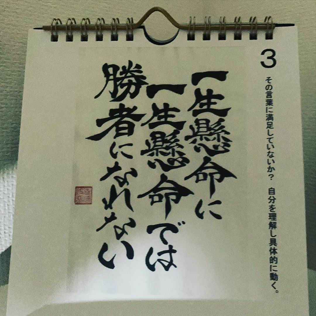 渡名喜風南さんのインスタグラム写真 - (渡名喜風南Instagram)「"夢" 〜日めくりカレンダー「書き心」〜  1日 "今しか出来ないことを全力で" 2日 "覚悟" 3日 "一生懸命に一生懸命では勝者になれない" 4日 "挑戦" 5日 "決めたら迷わない"  一日ひとつ、目標持って一日を始める。それだけでも変わる @kakigokoro_haru  是非チェックしてみて下さい✔️ #日めくりカレンダー#書き心#夢」10月5日 20時32分 - funatonaki