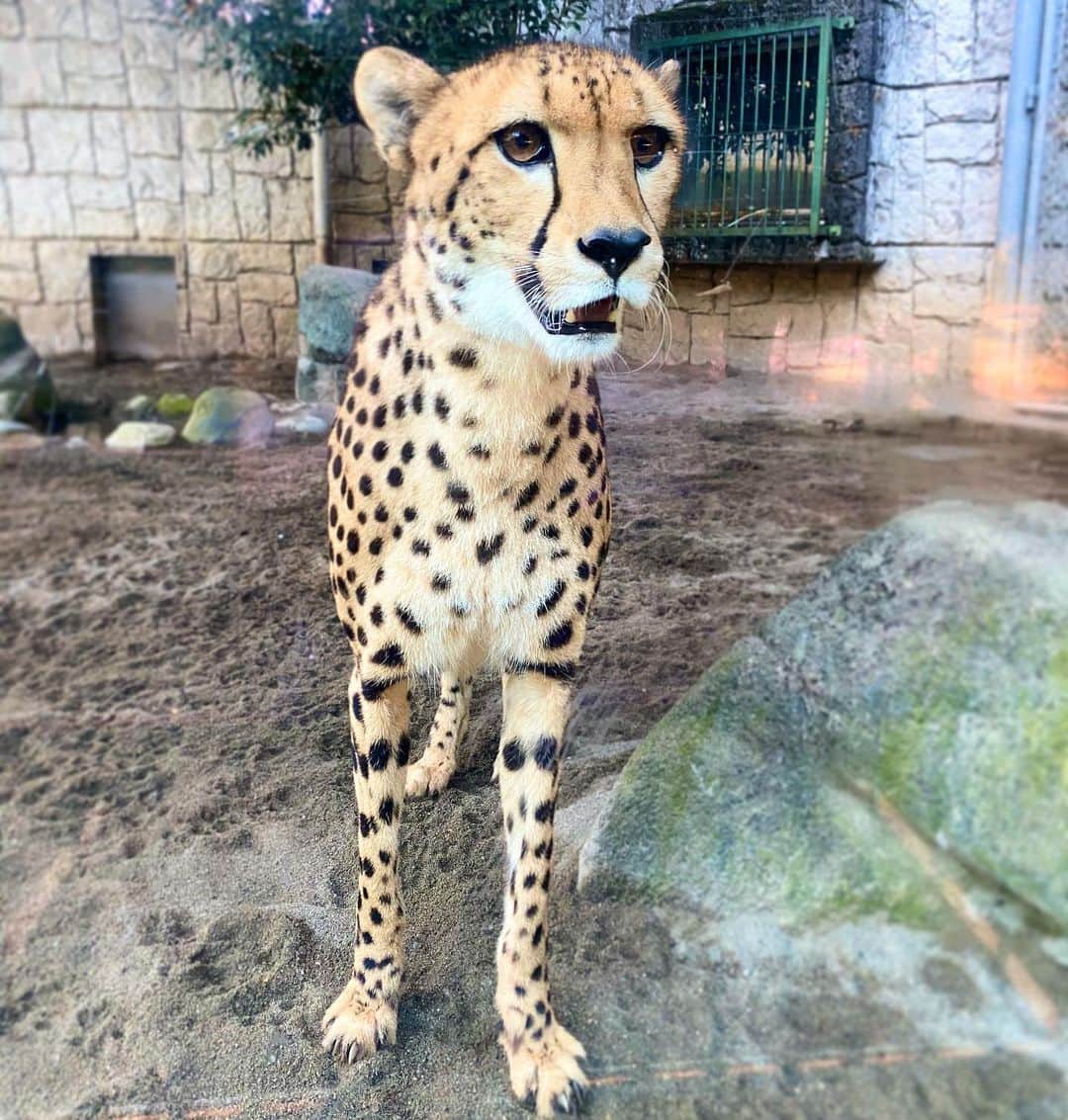 SAKURAのグルメインスタ