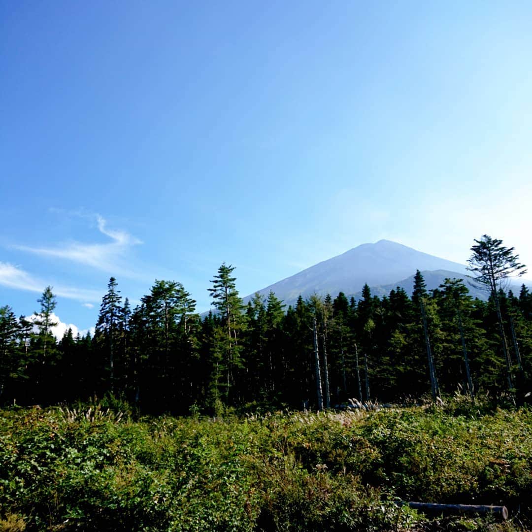 富永美樹さんのインスタグラム写真 - (富永美樹Instagram)「悲しい時も嬉しい時も 見上げれば富士山は変わらずそこに…  この1週間、たくさん力をもらった気がします  #富士山 #mountfuji #yamanashi #natureismytherapy #natureishealing  #restinpeace  富士山の#アリーナ席 よりお届けしました」10月5日 20時49分 - miki.tominaga.official