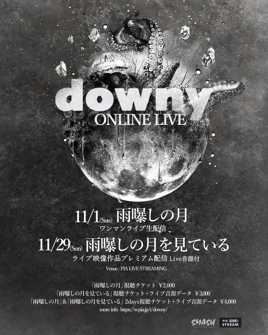 青木ロビンさんのインスタグラム写真 - (青木ロビンInstagram)「downyにとっては、2020の最初で最後のライブになります。  ツアーの払い戻しされる方 会場にいらっしゃる方も、アーカイブもあるので両日とも是非チェックしてみて下さい。  自宅で共有できるグッズなども後日発表しますね。  溜まった想いを音にぶつけます！  【downy初のライブ配信が決定！】  11/1(日) ：『雨曝しの月』ワンマンライブ生配信 11/29(日)：11/1の公演を映像作品化した「雨曝しの月を見ている」プレミアム配信withライブ音源プレゼントが決定！ ※2公演通しチケット有り  只今より販売開始！お見逃し無く！ link in bio  #downyband」10月5日 20時57分 - aokirobin