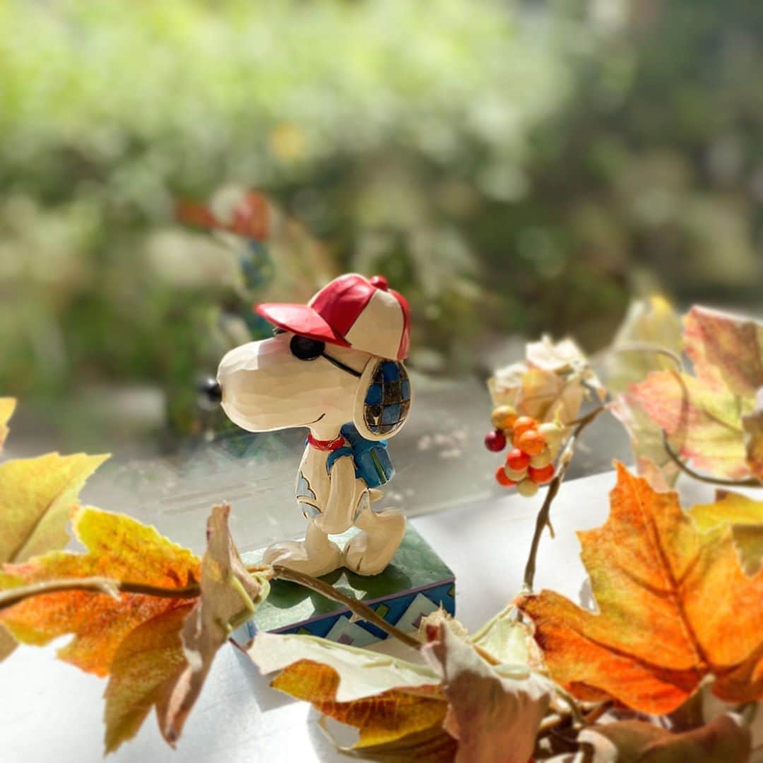 ピーナッツ カフェのグルメインスタ