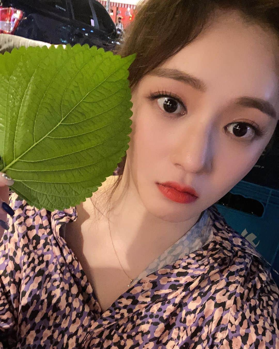 ソジョンさんのインスタグラム写真 - (ソジョンInstagram)「왕깻잎 🐥  Bbbbiiiiiiigggggg perilla leaf」10月5日 21時50分 - sojung.lc