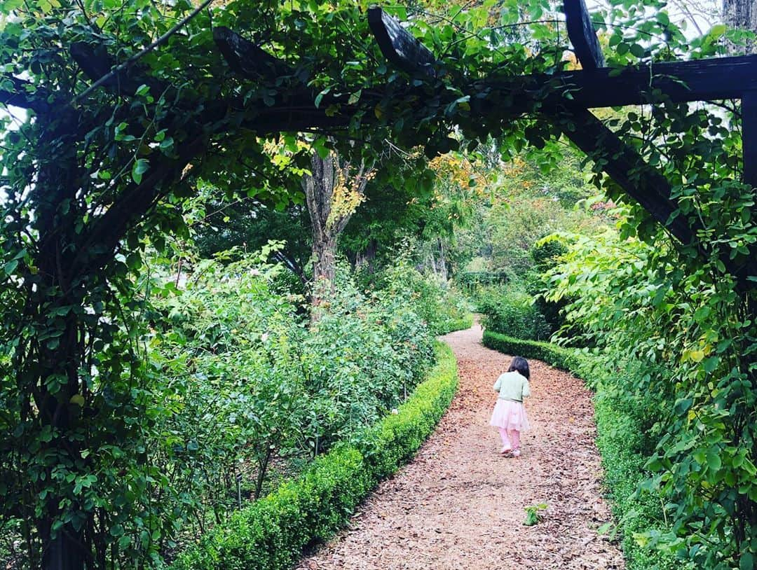 犬山紙子さんのインスタグラム写真 - (犬山紙子Instagram)「レイクガーデン好きすぎて住みたい 子どもも探検気分で自然とたくさん触れ合えて 赤トンボやバッタや蝶も 一番最初の写真はドングリを見せてます🐿 #いぬチャゲ」10月5日 21時59分 - inuyamakamiko